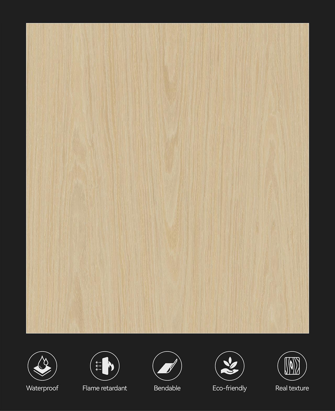 画板 6PWP-82801.jpg