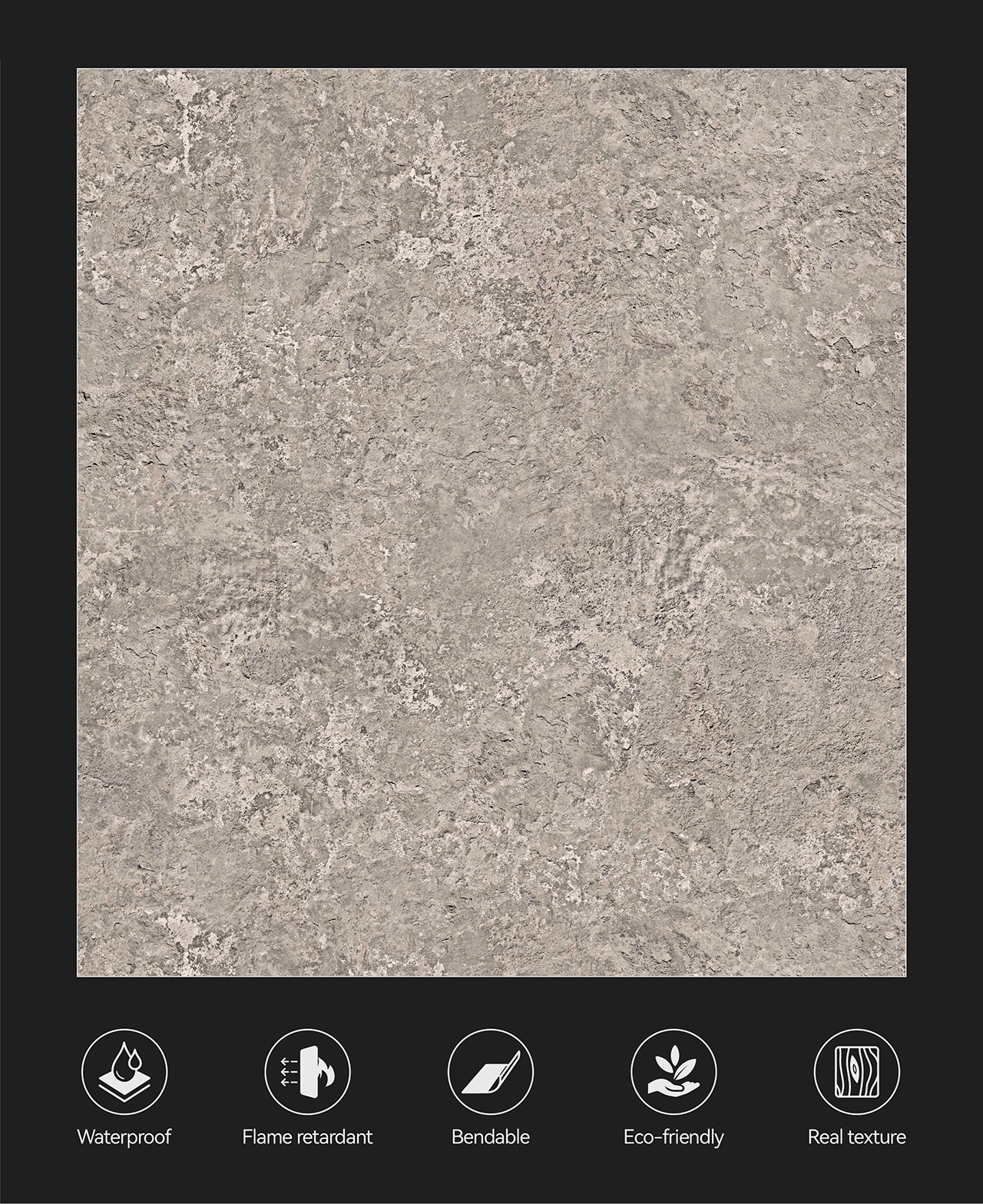 画板 6 副本TFB-56101.jpg